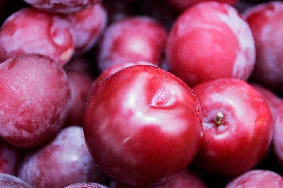 Benefícios da ameixa para o intestino: veja como a fruta protege o órgão! 