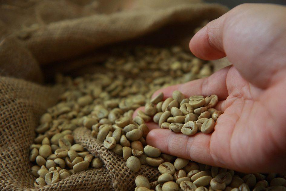Benefícios do café verde: descubra como o grão auxilia na perda de peso! 