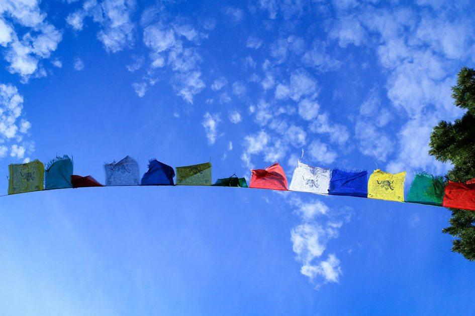 6 dicas simples e sustentáveis para economizar água lavando roupas 