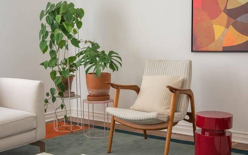 Conheça as plantas certas para deixar o apartamento mais verde, que se adaptam bem em espaços reduzidos e com pouca incidência de luz
