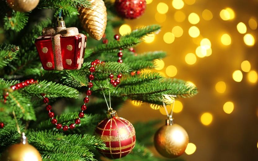 Árvore de Natal: saiba qual é a data certa para começar as decorações 