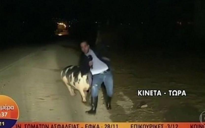 Repórter perseguido por porco virou meme na internet enquanto estava em uma transmissão ao vivo na Grécia na última terça (26).