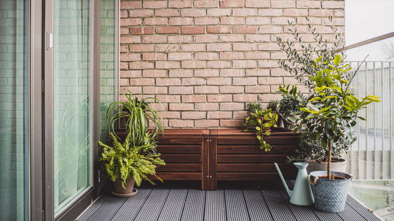 Veja como escolher as plantas certas para a varanda e saiba como mantê-las saudáveis