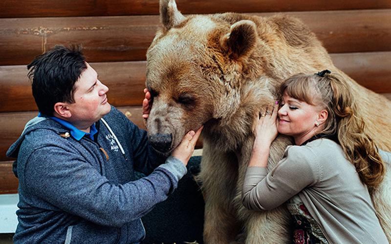 Família adota urso e vive com ele há 23 anos!
