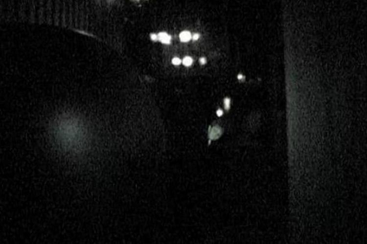 foto de assombração na mansão assombrada disney