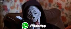Gif WhatsApp