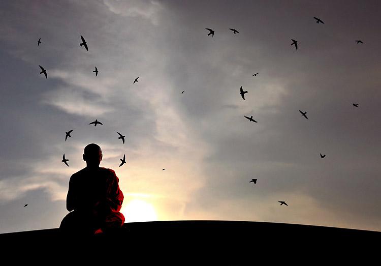 pessoa monge sozinho sentado montanha pássaros noite