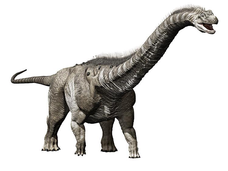 Dinossauros gigantes