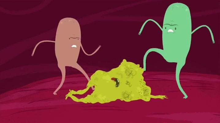 Gif bactérias boas destruindo bactéria ruim