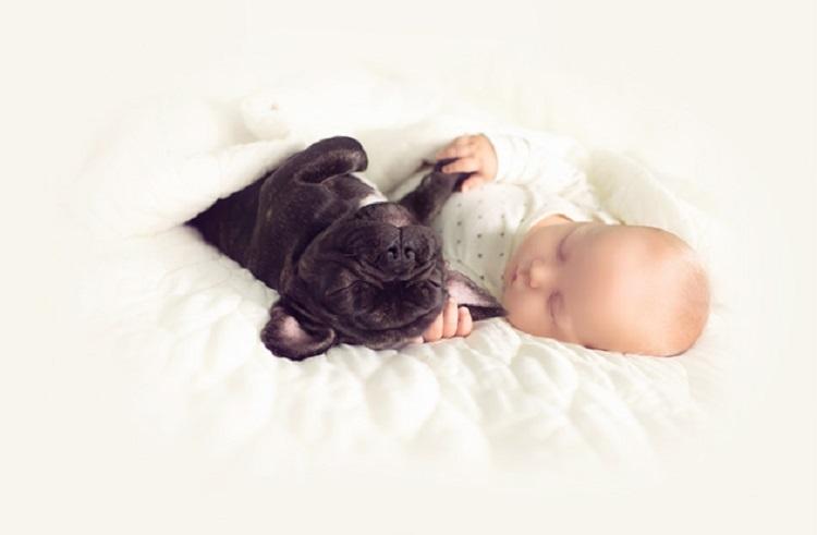 Bebê e cachorro que nasceram no mesmo dia são melhores amigos!