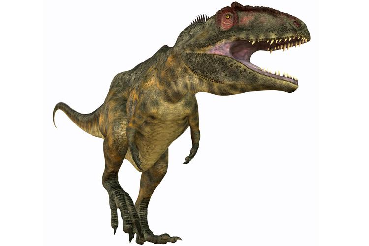 giganotossauro