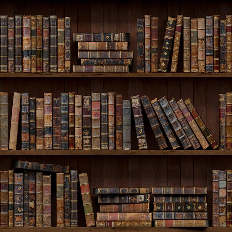 livros dicionário antigos maçonaria biblioteca