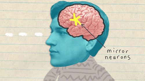 Neurônios e empatia: conheça a relação