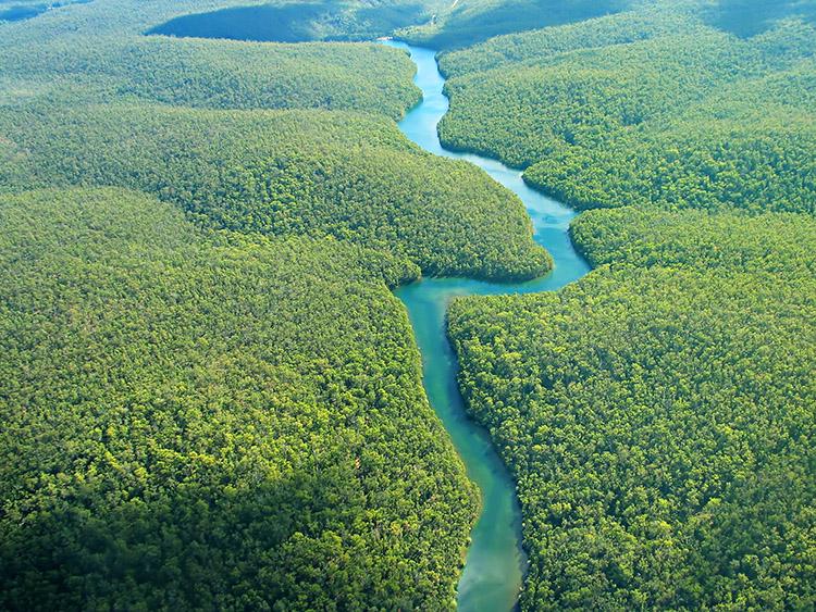 paisagem-floresta-amazonica-rio