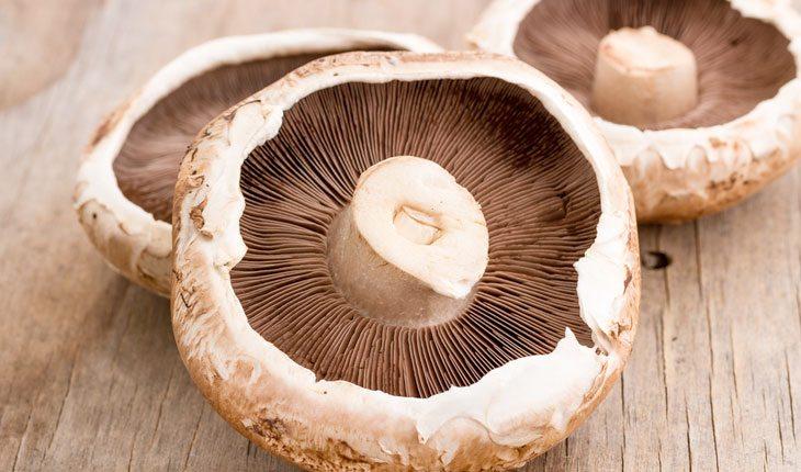 benefícios do cogumelo