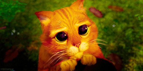 gif do gato de Botas com seus olhos fofos 