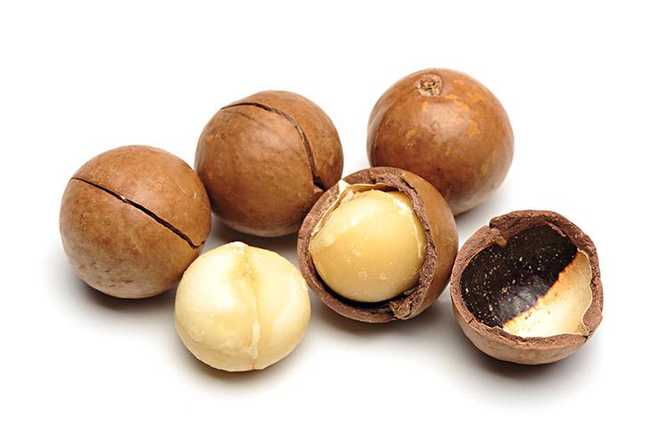 macadamia-oleaginosa-beneficios-saude