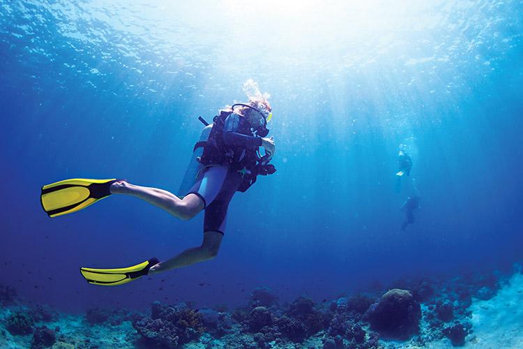 mergulhador, fundo do mar, pés de pato, mar, azul