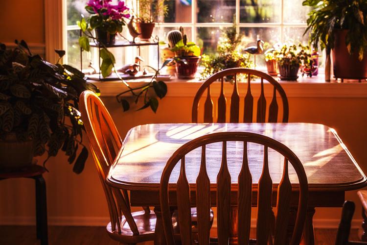 Sala com mesa com cadeiras em volta, plantas e flores, todas iluminadas pela claridade natural que entra pela janela