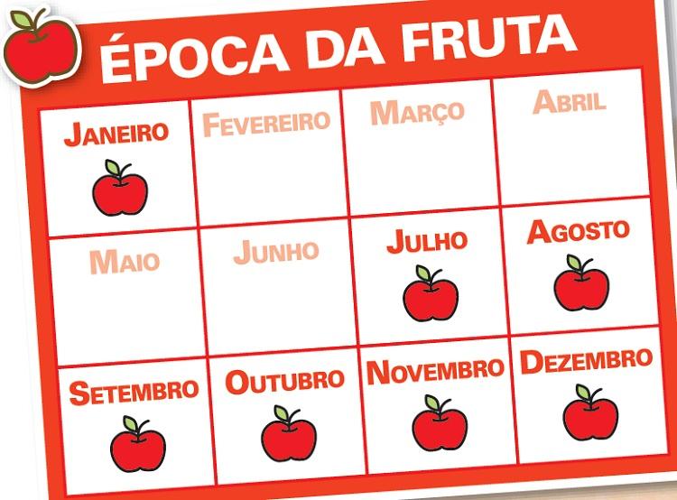 calendário com épocas da maçã
