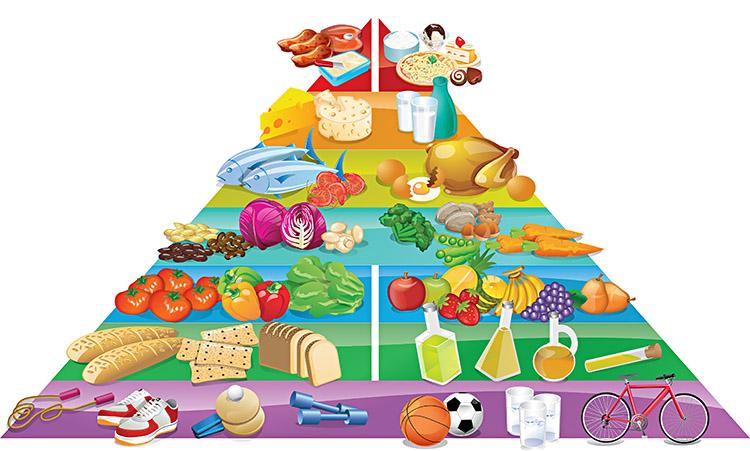 piramide alimentar alimentos energeticos reguladores construtores