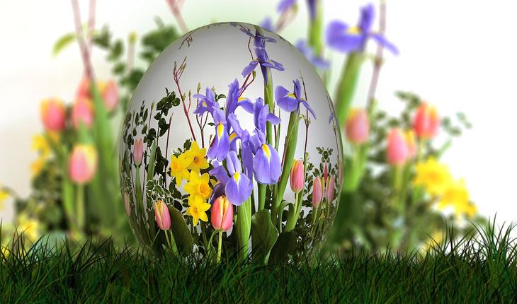 buquê com diversas flores sob o ponto de vista de um ovo de vidro
