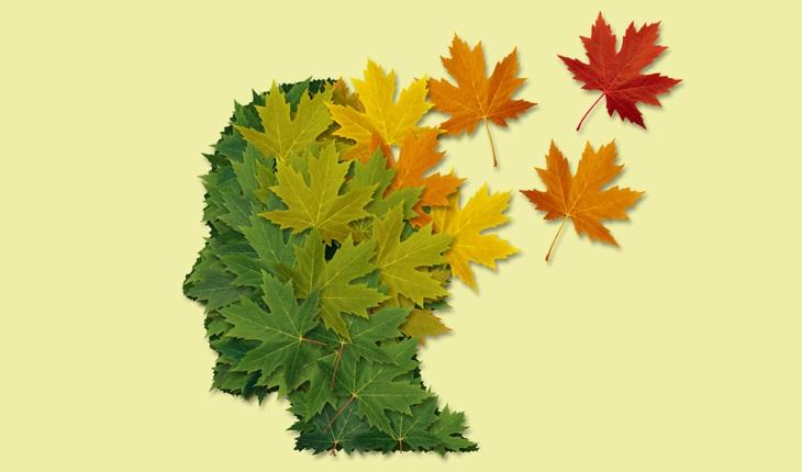 A foto mostra a figura de uma cabeça humana formada por folhas verdes, amarelas e vermelhas que vão se separando, fazendo uma ausão à perda de memória do Alzheimer. A meditação é eficiente para prevenir o Alzheimer