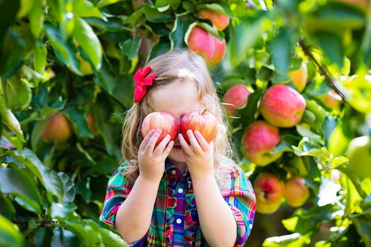 menina segurando duas maçãs