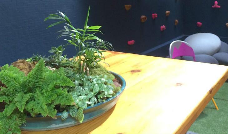 Perfis de decoração no Instagram Minhas Plantas rede e mesa no quintal