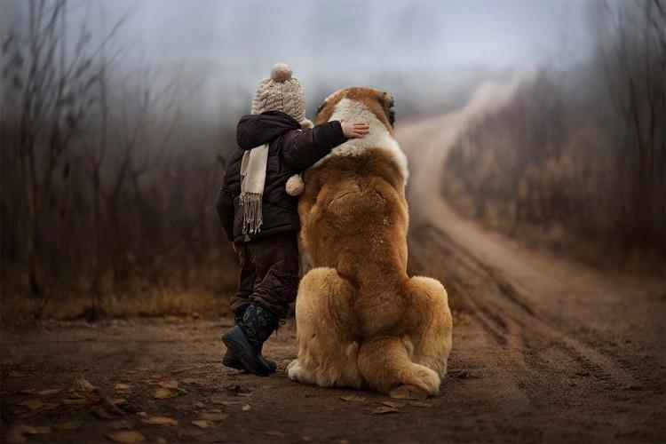 Menino e cachorro amizade