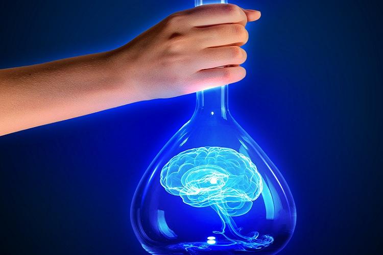 cerebro-frasco-ciencia-neuronios-espelho