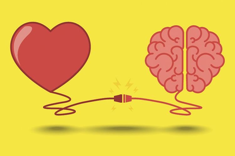 coração-cérebro-conectados-empatia-neurociência