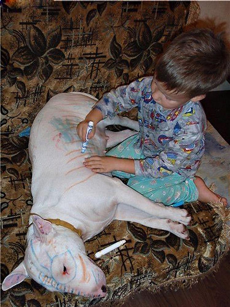 Criança rabiscando cachorro