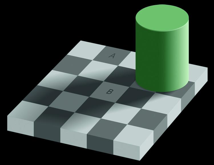 ilusao tabuleiro xadrez sayumi