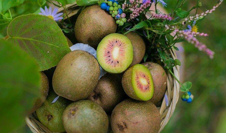 Kiwi frutas