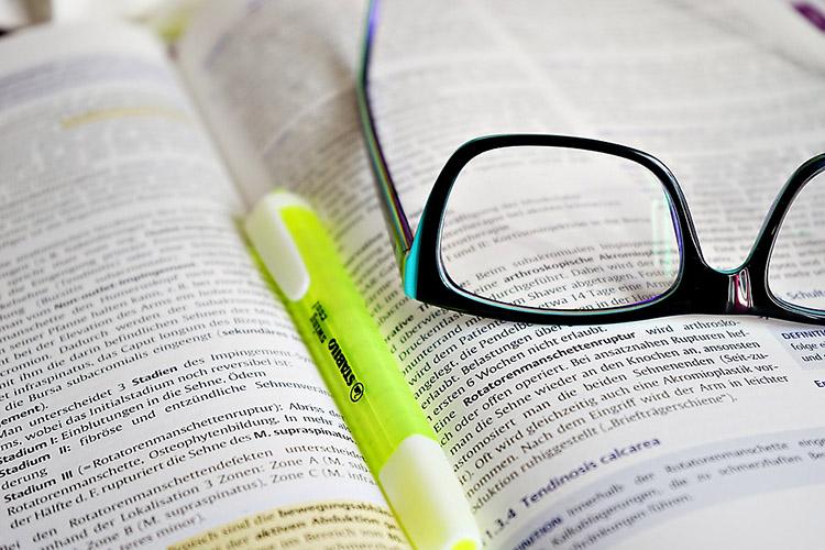 livro dicionario palavras óculos sujeito