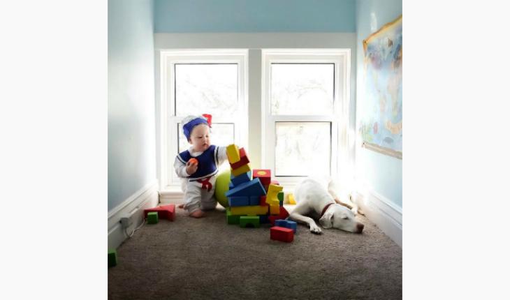 fotos da amizade cadela Nora e o bebê Archie blocos coloridos Instagram