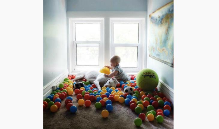 fotos da amizade cadela Nora e o bebê Archie bolas coloridas Instagram
