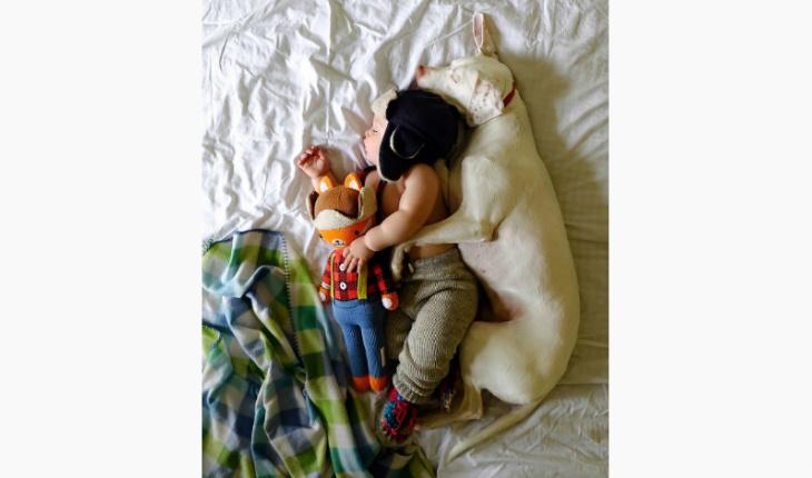 fotos da amizade cadela Nora e o bebê Archie dormindo com touca Instagram