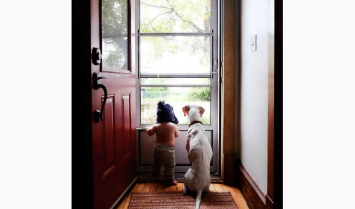 fotos da amizade cadela Nora e o bebê Archie olhando na porta Instagram