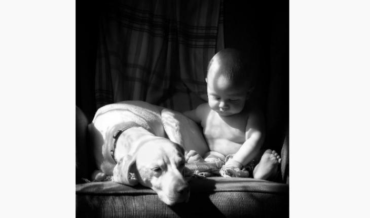 fotos da amizade cadela Nora e o bebê Archie preto e branco Instagram