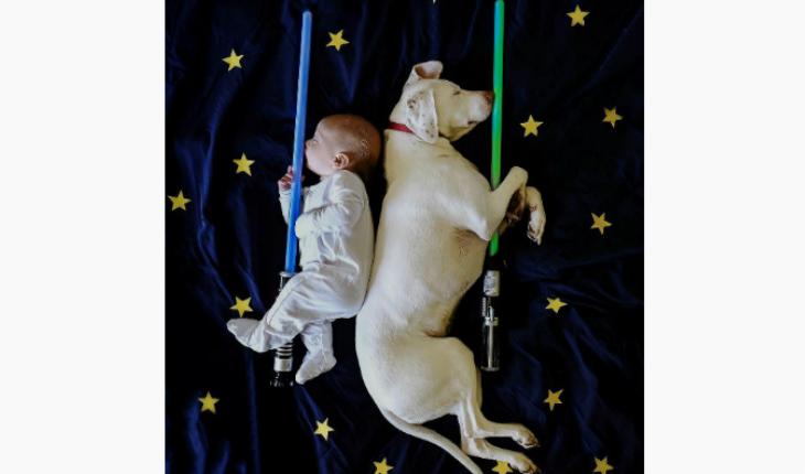 fotos da amizade cadela Nora e o bebê Archie sabre de luz Instagram