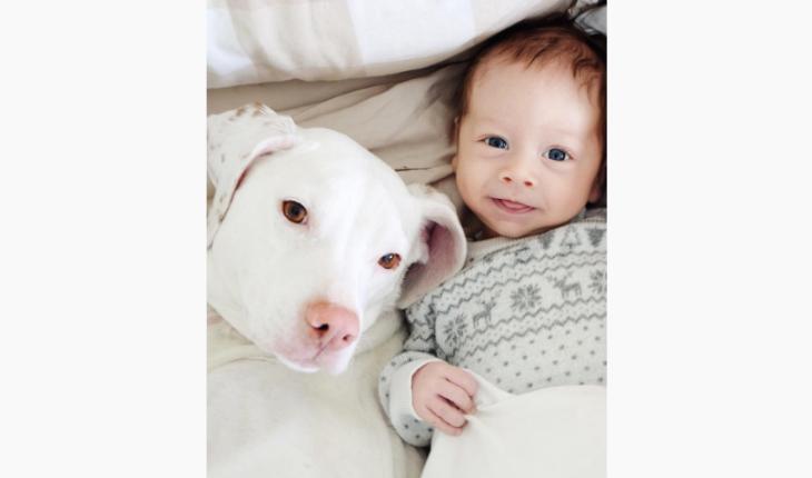 fotos da amizade cadela Nora e o bebê Archie selfie Instagram