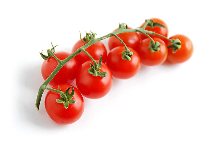 tomates-pequenos-ramos