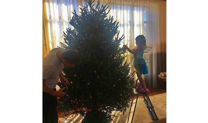 Árvores de Natal das famosas: veja como é a decoração das celebridades para  essa data | Alto Astral