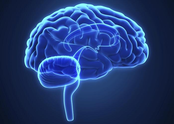 cérebro azul mapeado, aparência de radiografia