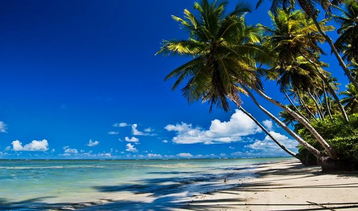 praia de Moreré, com água cristalina, coqueiros pensos para o lado do mar sombreando a faixa de areia clara.