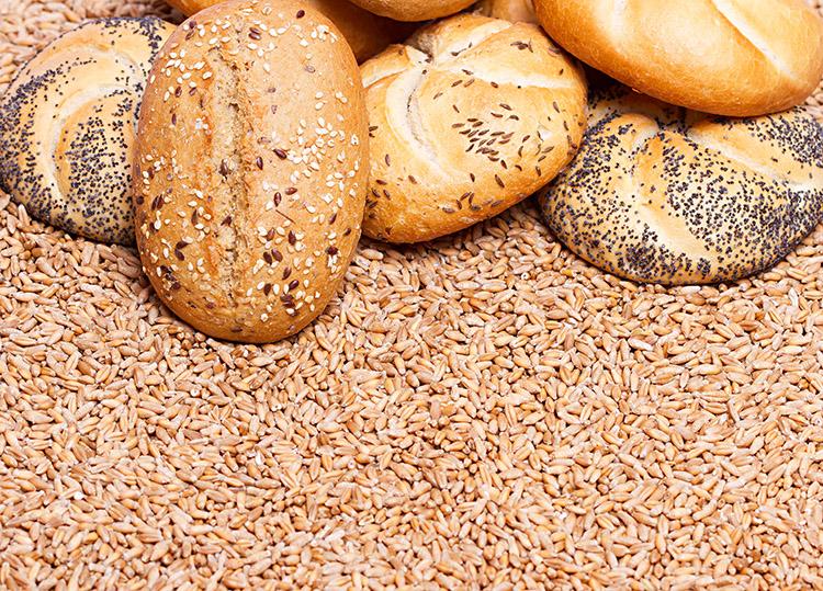 Pães integrais tradicional, sobre cereais de trigo