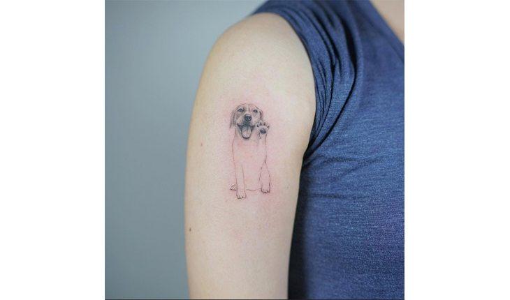 tatuagem de pets