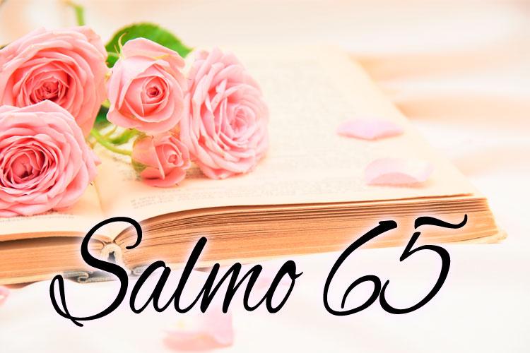 Flores com biblia escrito salmo 65